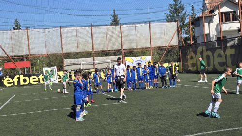 8f5d9c72-eeb3-40f0-acd9-626a6f4a4293