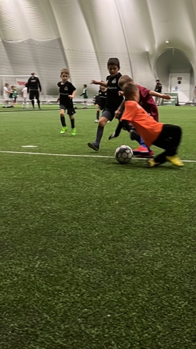 IMG-38aa21f37962bafdea39ad49eb5bc7d7-V