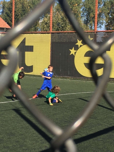 IMG-64105c36c9f298444342a50aa29e3ae5-V